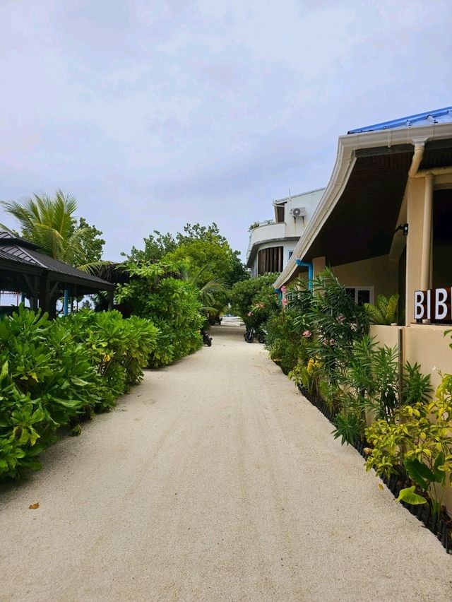 🌊 Dhiffushi Island, Maldives – A Local Island Paradise Experience