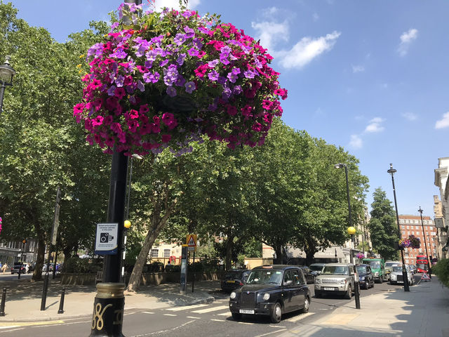 Exploring Westminster: A Day Among London’s Most Iconic Sights
