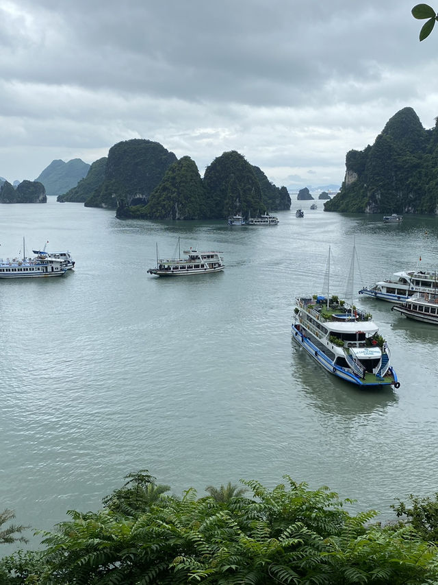 🇻🇳 Hạ Long Bay, Vietnam – A Natural Wonder Worth Every Moment 🌅🚤