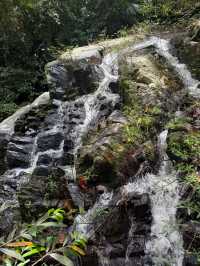 Янода Тропический парк (Хайнань)