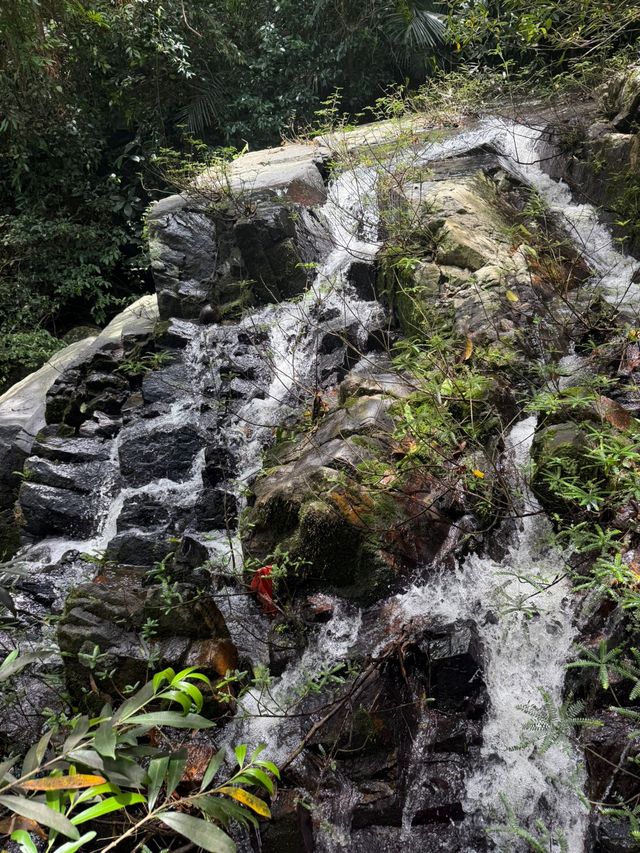 Янода Тропический парк (Хайнань) Янода Тропический парк (Хайнань)