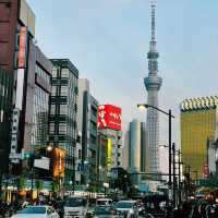 Asakusa to Skytree: A Magical Tokyo Night Walk