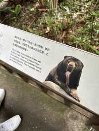 Bird World Review: A Wild Day Out in Taipei’s Animal Kingdom