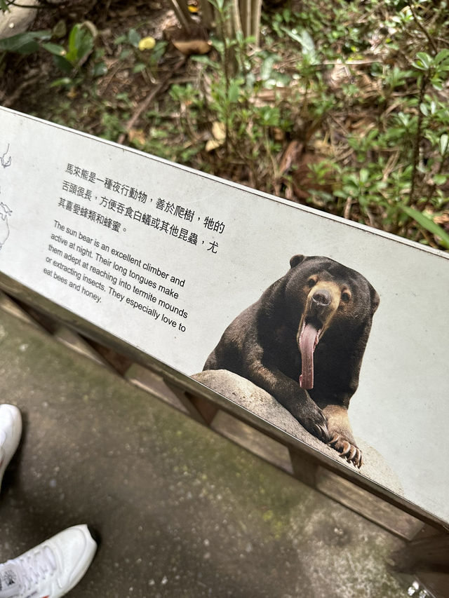 Bird World Review: A Wild Day Out in Taipei’s Animal Kingdom