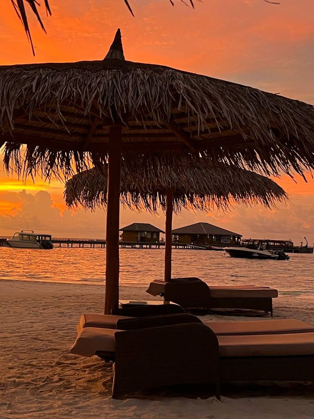 Cocoon Maldives — Where Modern Luxury Meets Barefoot Paradise