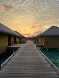 Cocoon Maldives — Where Modern Luxury Meets Barefoot Paradise