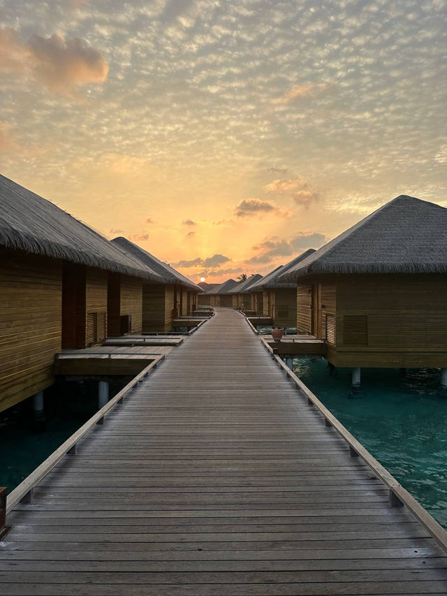 Cocoon Maldives — Where Modern Luxury Meets Barefoot Paradise