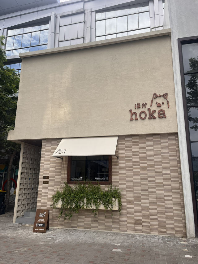 Cute Cafe in Jakarta 🍪
