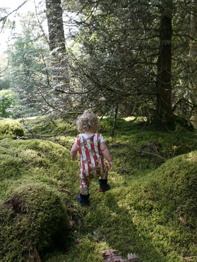 Benmore Botanic Garden, Dunoon – A Forest of Giants and Calm