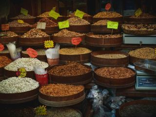 Irbid – The Cultural Gem of Northern Jordan 🏙️📚