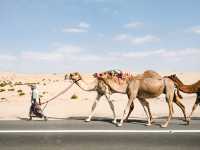 🌙 은빛 하늘 아래의 침묵, 모스크의 밤 🇦🇪