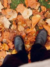 Fall age season in London