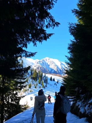 Romanian Winter Hike - Diham