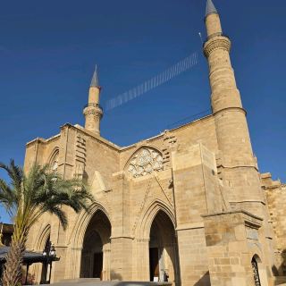 キプロスのコントラスト：ラルナカのフラミンゴから分断都市ニコシアまで。