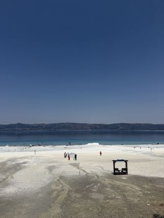 살다 호수 소나무 숲속에서 즐기는 터키식 티타임 🌲☕
