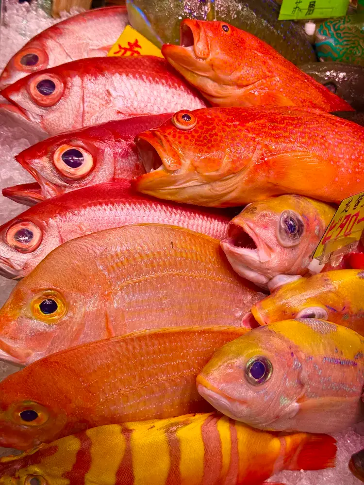 巨大マグロにカニ、牡蠣、海ぶどう!沖縄で感動した魚市場「泊いゆまち」🐟✨