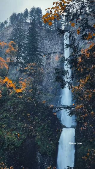 Fall colors
