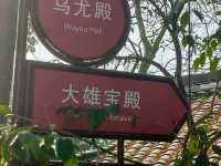 Leshan Buddha day trip 
