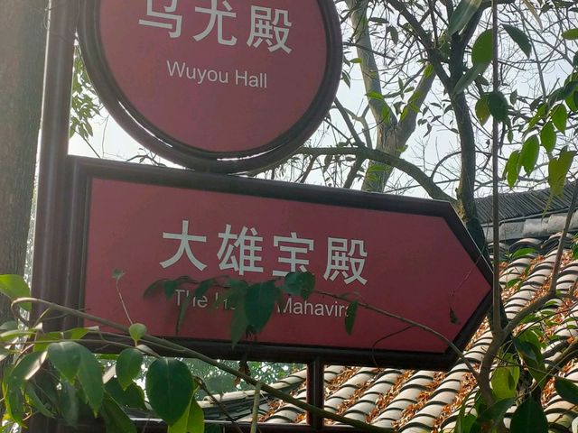 Leshan Buddha day trip 