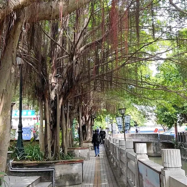 The Venice-like town of Fengjian Watertown Foshan 