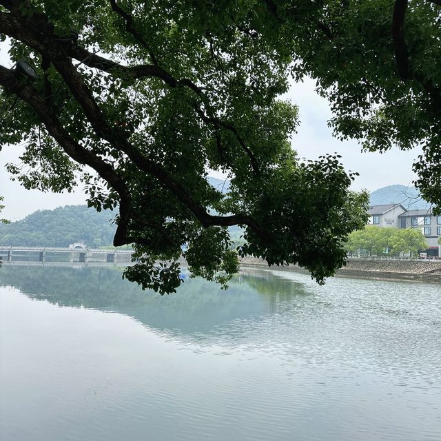 寧波奉化，偉人故鄉