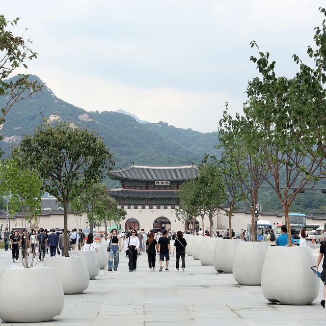 首爾好去處🇰🇷景點｜美妝｜體驗