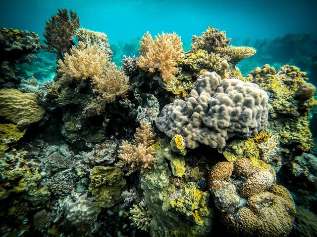 Amazing view at Coron Island 🏝 Amazing view at Coron Island 🏝