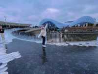 ❄️ Snowy Shanghai Disney Adventure ❄️
