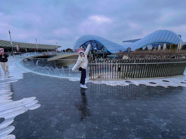 ❄️ Snowy Shanghai Disney Adventure ❄️