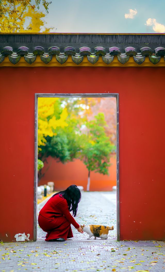 藏在蘇州周邊的百年銀杏地常熟小故宮