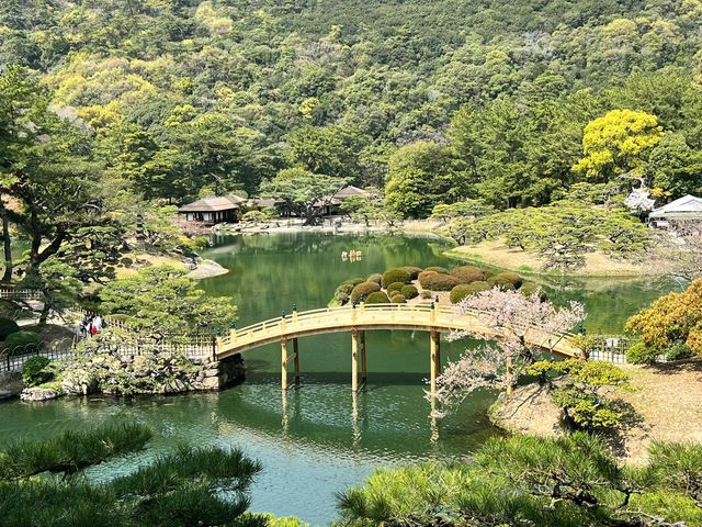 🎈高松栗林公園，一個小眾但是充滿趣味的地方，這裡遊客較少、酒店價格實惠、當地居民淳樸友善，是一個非常好的旅遊目的地