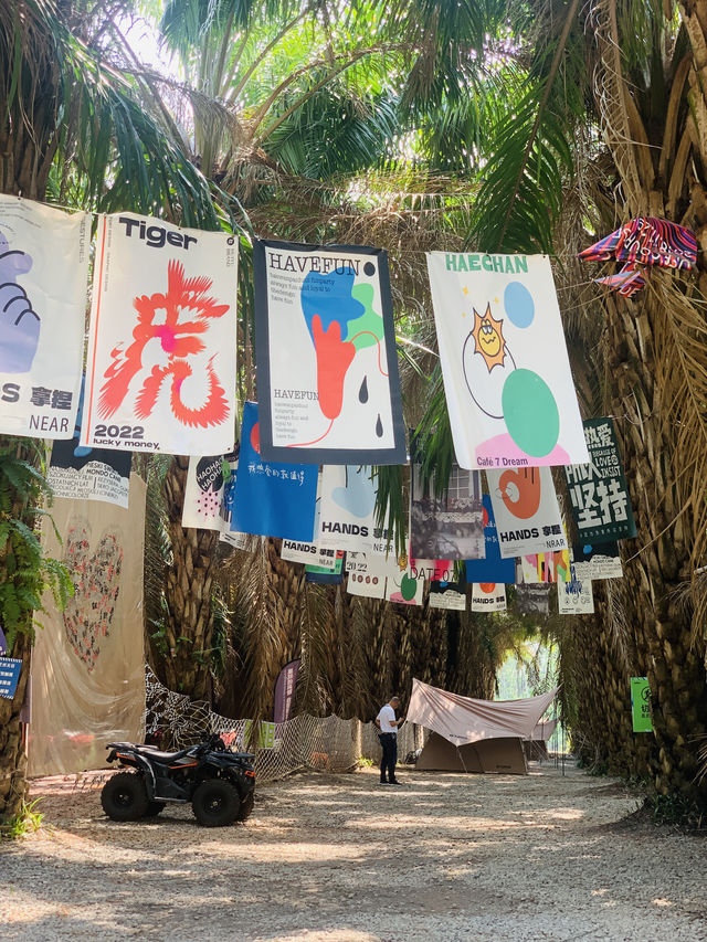 西雙版納｜去了熱帶花卉園n次，總結出3種玩法