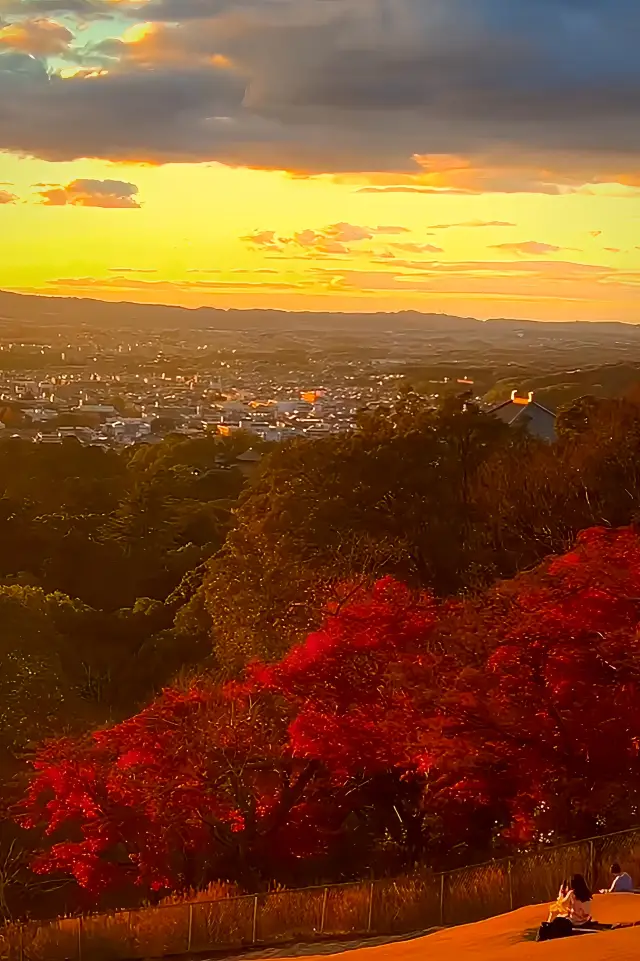 奈良若草山の詳細な遊び方｜美しい夕日を見に行きましょう