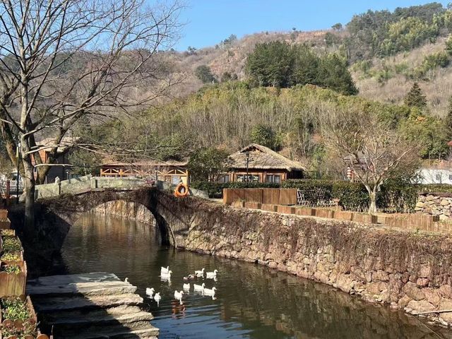 “和為貴、睦為美”：青浦和睦村