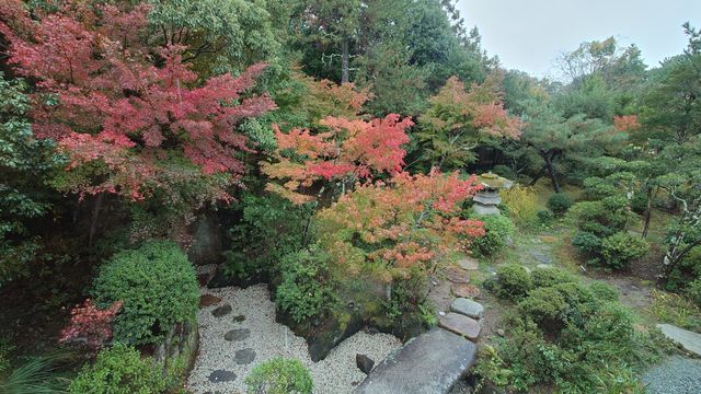 紅葉季的奈良紫翠豪華精選酒店也太美了吧，媲美京都翠欄