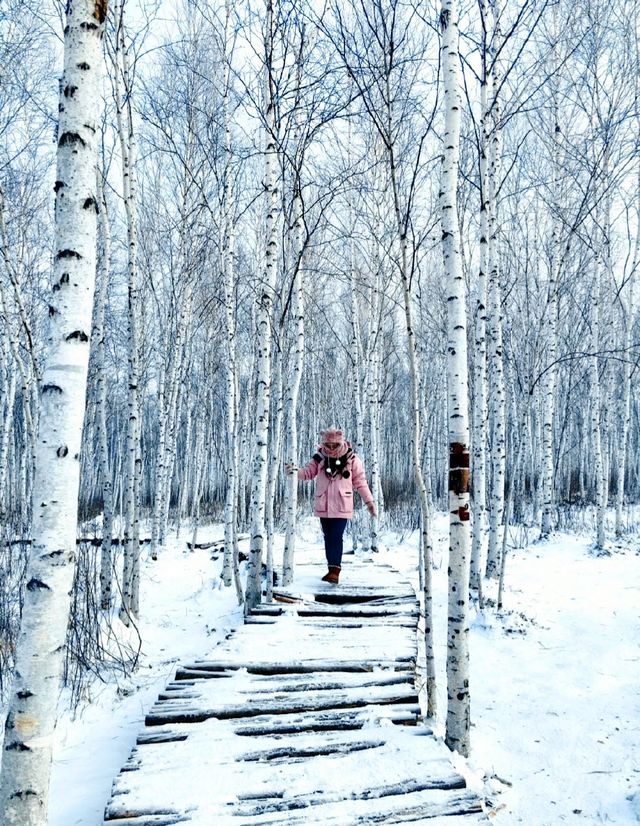 闖進雪國夢境，在北極村看中國最北端的美景
