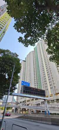 【暴走香港】從又一城到香葉道，打卡金華冰廳菠蘿包～
