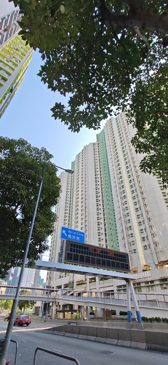 【暴走香港】從又一城到香葉道，打卡金華冰廳菠蘿包～