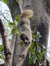 昆明·大觀公園