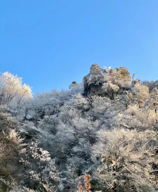 這個冬天總要來看看廬山的雪