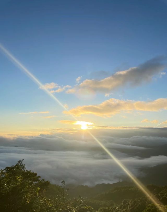 這兒雲蓋山頂，環境自然，風車震撼！！