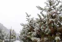 甘谷：一個雪景美如畫的小城