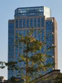 漸行漸美——走進全國文明村“漸美村”