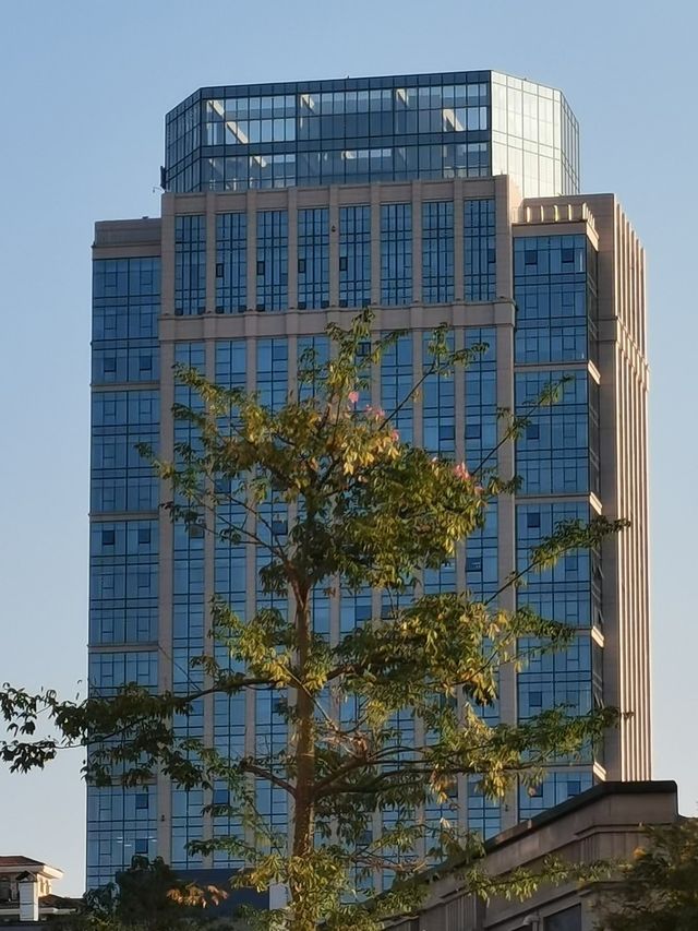 漸行漸美——走進全國文明村“漸美村”