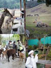 春節遊玩好去處！！和野生動物近距離互動