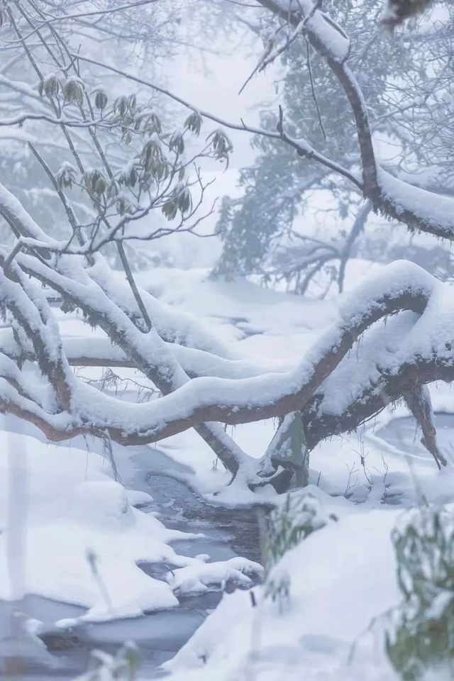 成都周邊一日遊，適合新手小白徒步/爬山路線！