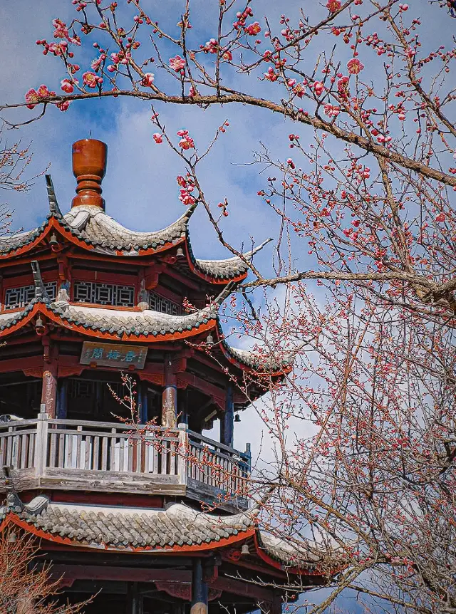 兵庫県世界梅園、新年の旅行中の美しい景色