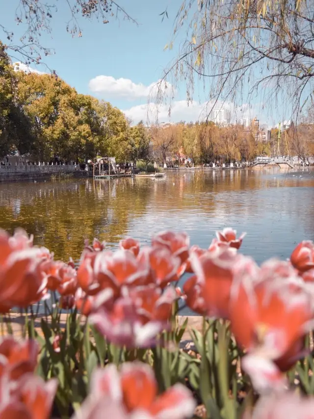 Kunming City Walk, a classic route strongly recommended by locals