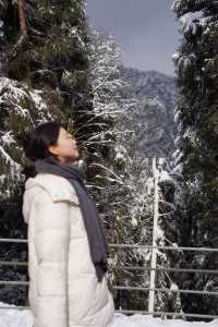冬日的快樂怎麼能少得了看雪