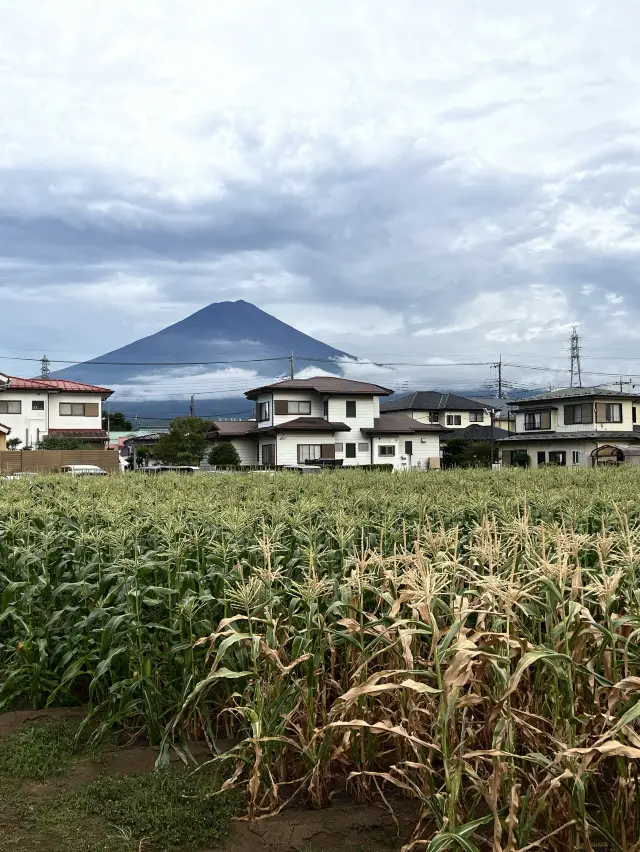 富士山の入口を探索！